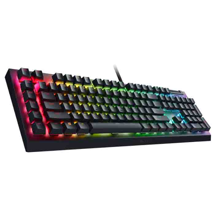 Клавиатура Razer BlackWidow V4 X (Green Switch) (RZ03-04700800-R3R1)