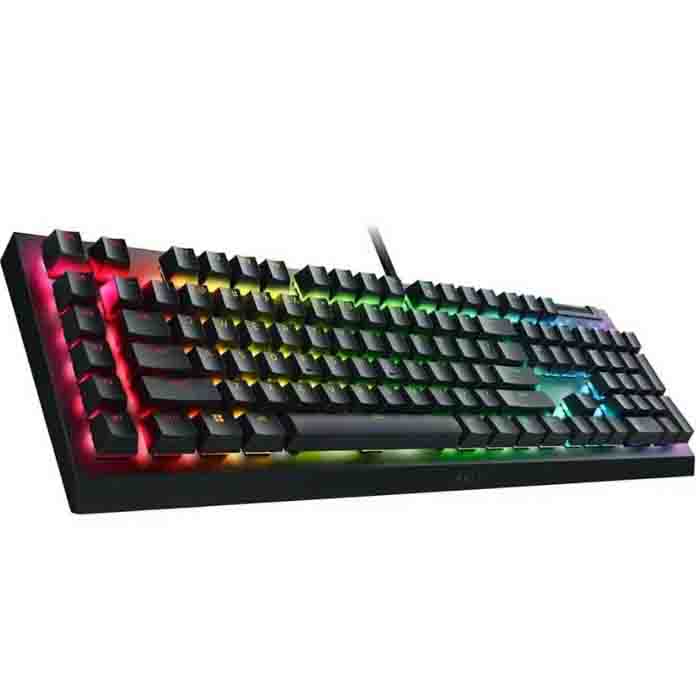 Клавиатура Razer BlackWidow V4 X (Green Switch) (RZ03-04700800-R3R1)